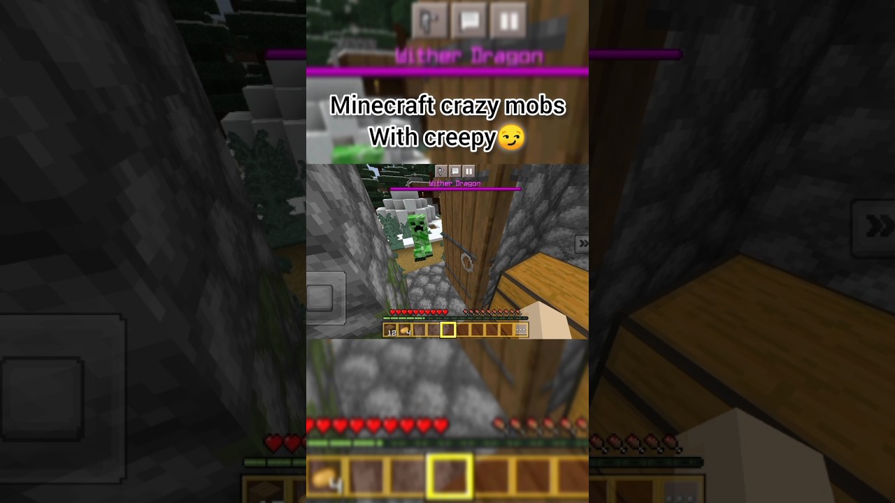 Minecraft crazy moment with creepy ft. PPPP 