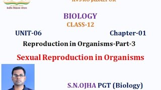 Class 12 Biologyreproduction In Organisms