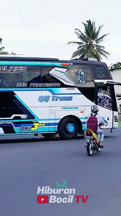 nada winspector yang lagi Viral 'suka-suka nongkrong di pinggir jalan' keren #qqtrans #winspector