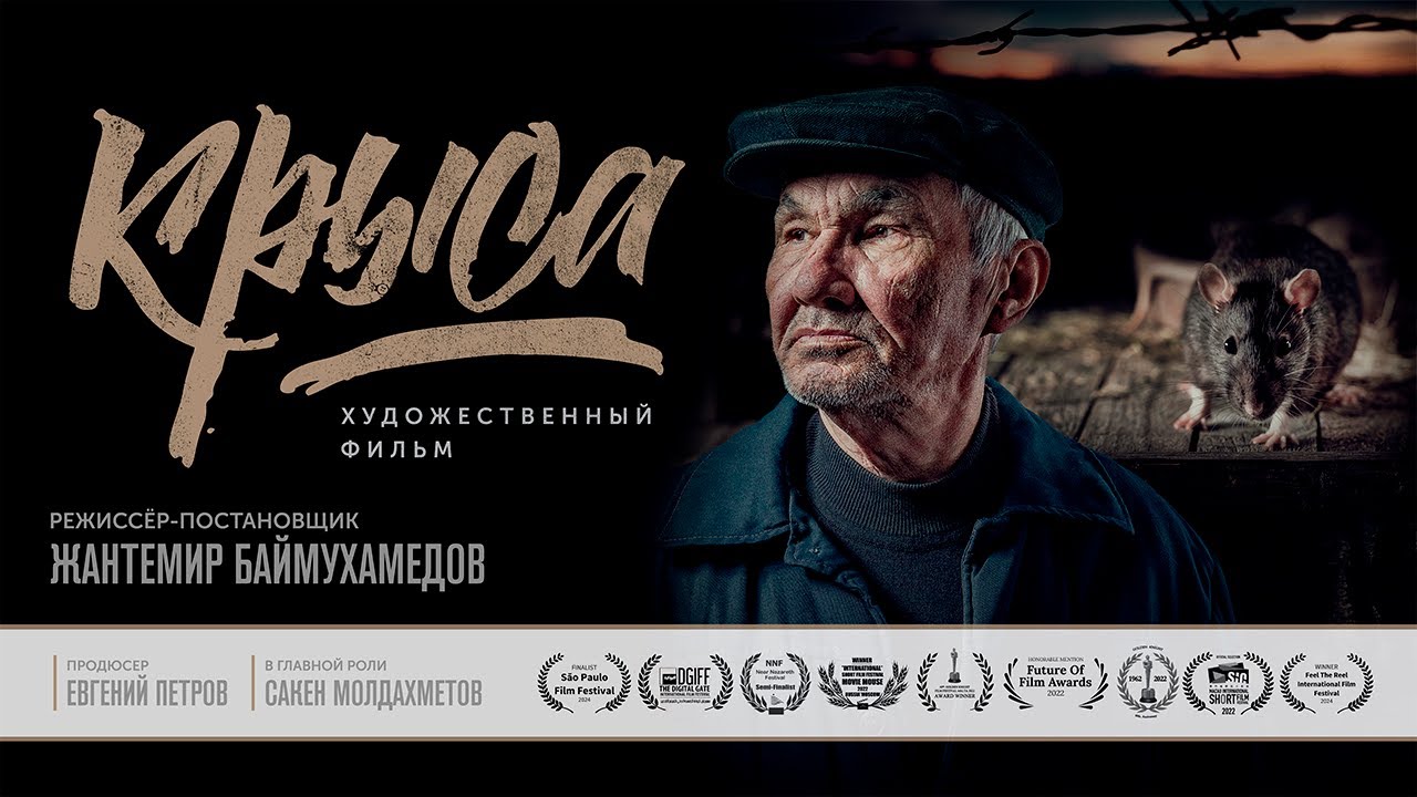 Художественный фильм 