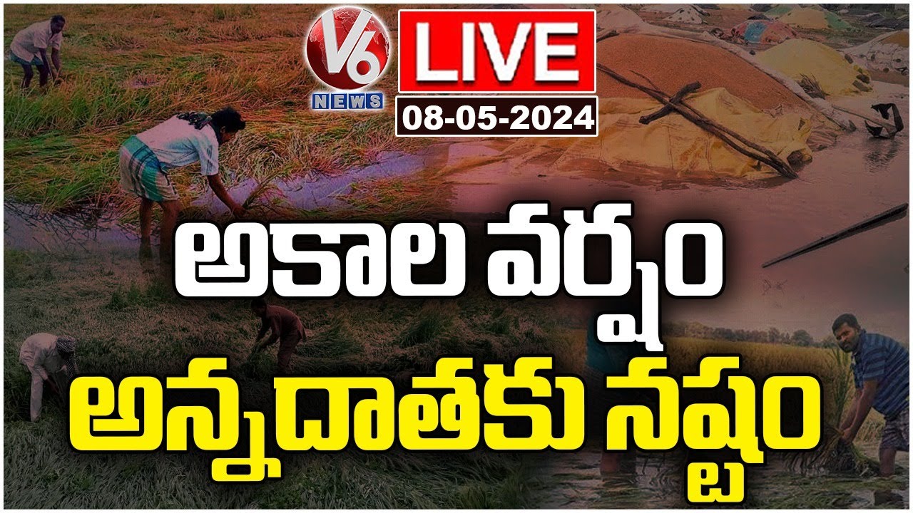 Live : Farmers Suffering Due To Crop Loss Due To Heavy Rain In ...