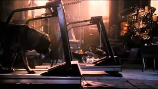 Hotel For Dogs 2009 Trailer