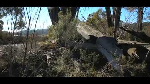 Councils working together to protect critical roadside environments and habitat - Full Length Video