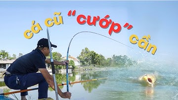 Câu cá cũ cướp cần nhanh như chớp - Nghe tiếng rít cước đã tai - Ngọc Biển Fishing