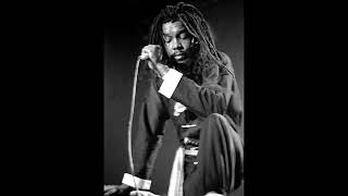 Peter Tosh - Feel No Way (Dub Version - Borka B Dub Remix) chords