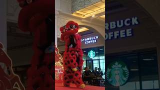 atraksi barongsai lion dance barongsai lion dance!!