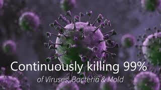 Veterinarian in Marietta GA is a veterinary office that follows CDC concerning Covid-19