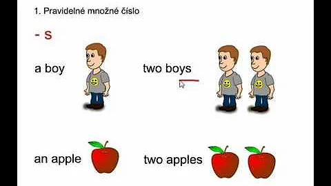 Co je množné číslo?