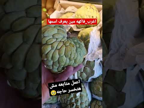 اغرب فاكهه الشيف محمد عبده فاكهة فاكة القشطه قشطه خضار فوائد