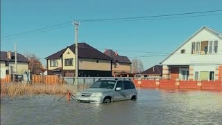 Прогулка По Тепличному. Вода Отходит. Но Не Везде. 1 Мая 2024 Г.  #Петропавловск #Ско #Тепличное