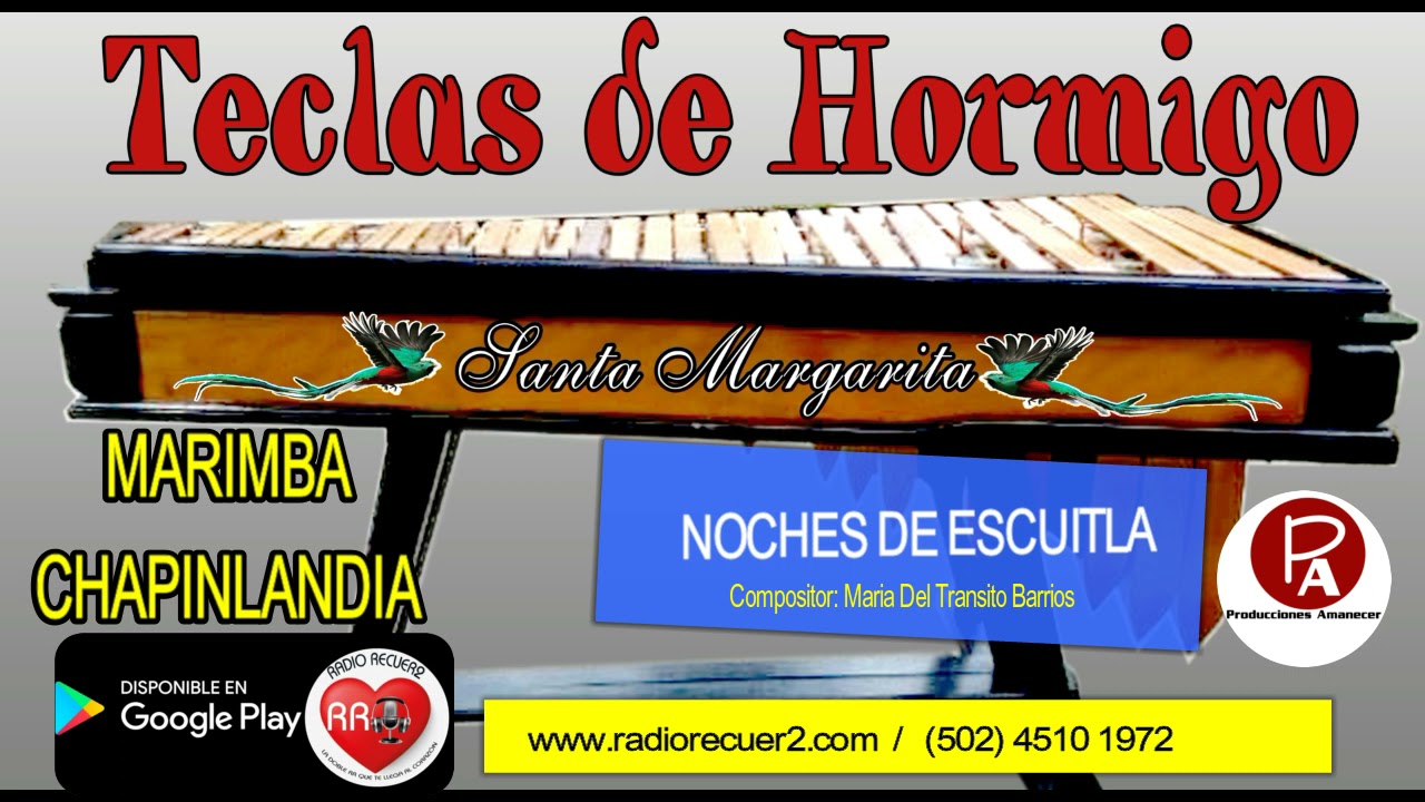 NOCHES DE ESCUITLA MARIMBA CHAPINLANDIA / MARIA DEL TRANSITO BARRIOS