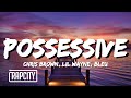 Chris brown  possessive lyrics ft lil wayne bleu