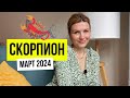 ♏️СКОРПИОН - дети и здоровье. Март 2024