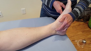 Pulses - Vascular Test | Klose Training