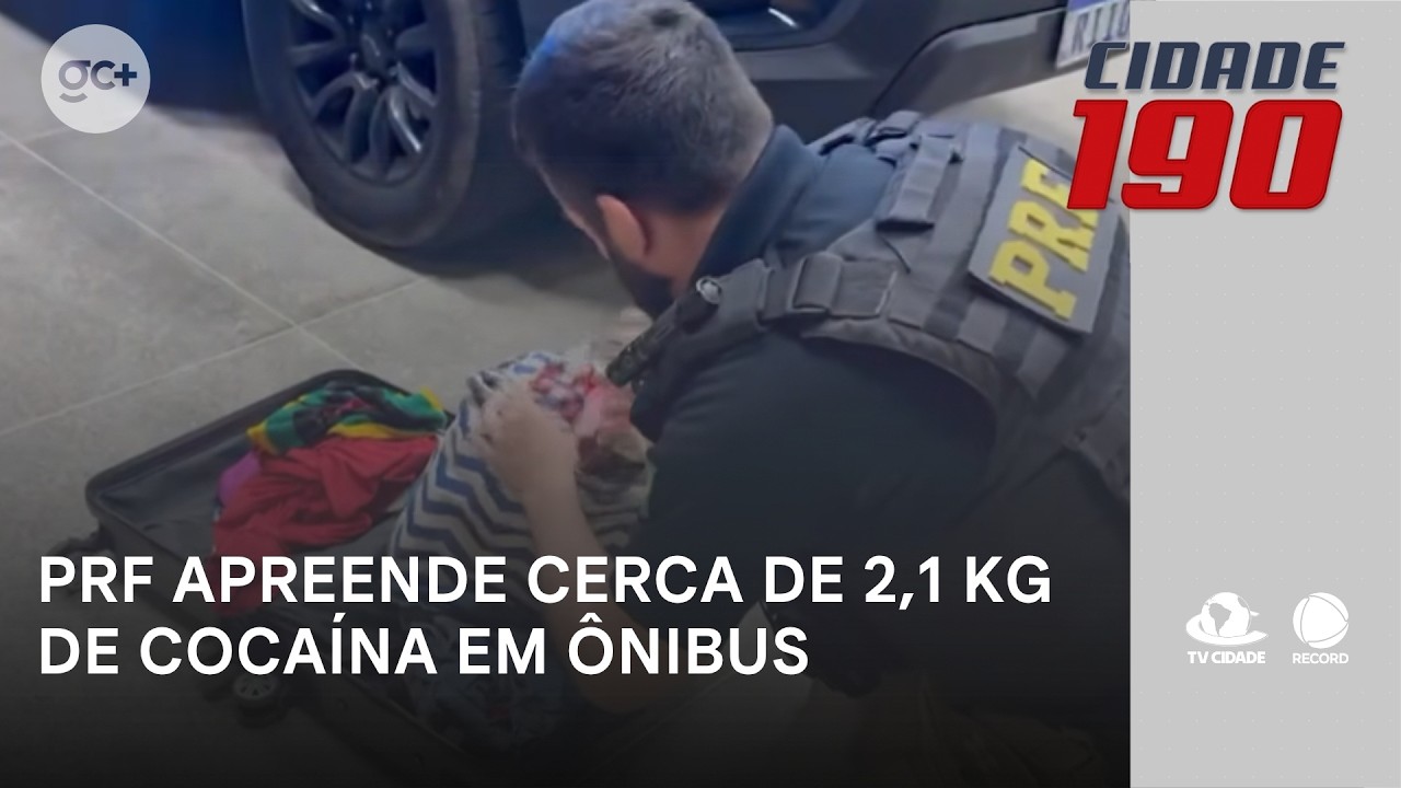 PRF apreende cerca de 2,1 kg de cocaína em ônibus na BR-116; uma mulher foi presa | Cidade 190