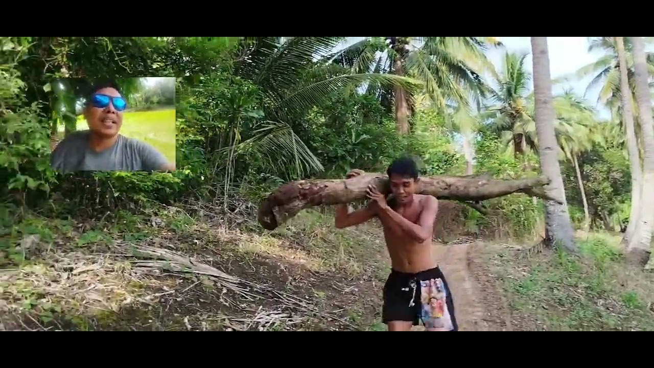 ganito kmi pag kukuha ng kahoy pangatong tulong tulong😍😂😂