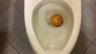 Will It Flush? - Mcdouble
