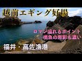【釣り場動画#129】福井のエギングならココ!根魚も最強クラスの越前海岸にある高佐漁港でアオリイカを狙おう