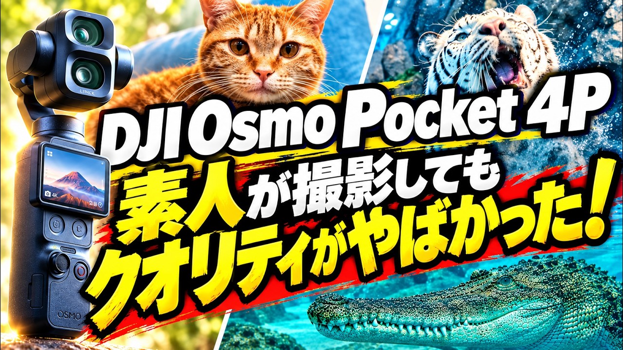 大阪+京都VLOG オズポケ4がすごい!