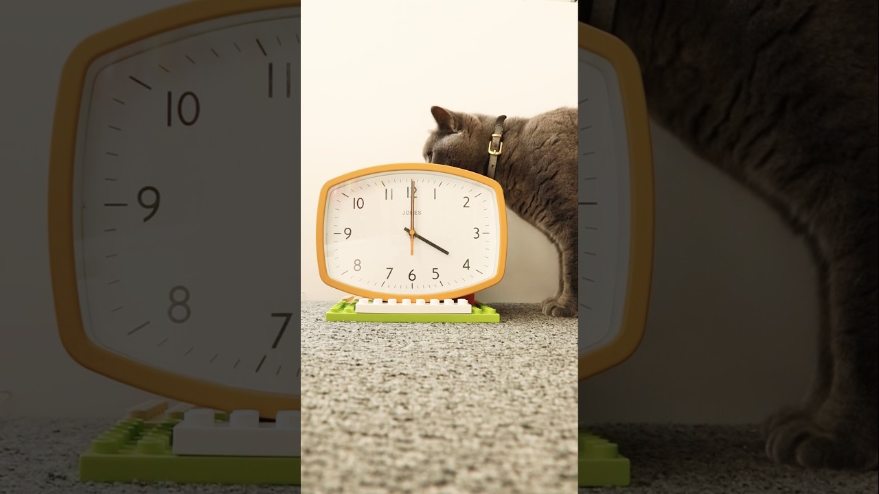 Hickory Dickory Dock - Кот 🐱 