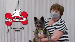 Dog Day Out by Purina Farms 734 views 3 years ago 30 seconds