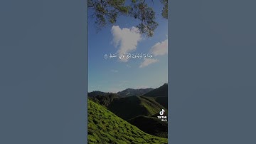 تلاوة جميلة جدا للشيخ صلاح البدير حفظه الله