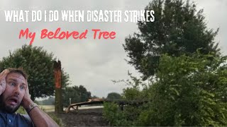 🌪️Storm WRECKED my Tree! WHAT DO I DO?!?!?! An ISA Master Arborist's Guide to Restoring Your Tree 🌳