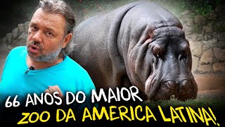 DESCUBRINDO AS MARAVILHAS DO ZOOLÓGICO DE SÃO PAULO EM SEU ANIVERSÁRIO DE 66 ANOS!