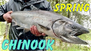 Spring KING Salmon FISHING! WA
