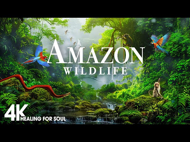 Chubby onalar ogillari porno sikish Pompalangan dumba bilan jinsiy aloqa