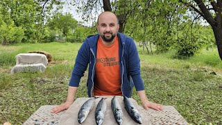 Fire-Grilled Mackerel With Veggies: Delicious Recipe From The Chef