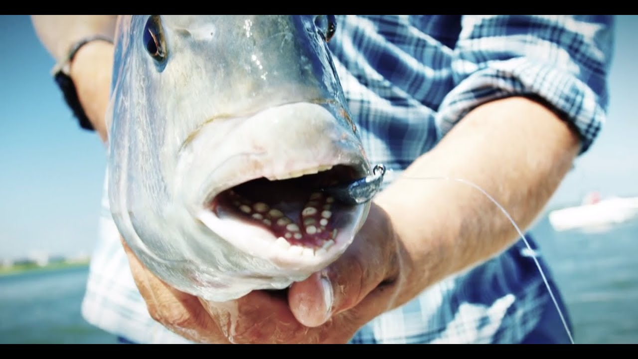 Bottom Sweeper Jigs - TackleDirect