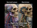 👉Why Visuals Help Us Understand Complex Work #WonderTruths #InspiringFacts #FactsShorts