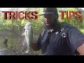 Bank Fishing Tips And Tricks For Spawning Crappie