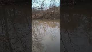 Central Ohio Blacklick Creek (Late Jan) #fishing