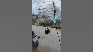 Bẫy cá linh non bằng chai nhựa #4