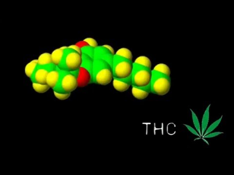 Vidéo: Consommation De Cannabis Des élèves Du Secondaire Et Perceptions à L'égard Du Cannabis Dans Le Centre-sud Du Colorado - Comparaison Des Communautés Qui Autorisent Les Dispensa