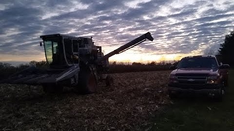 HARVEST 2020! With Gleaner F3.