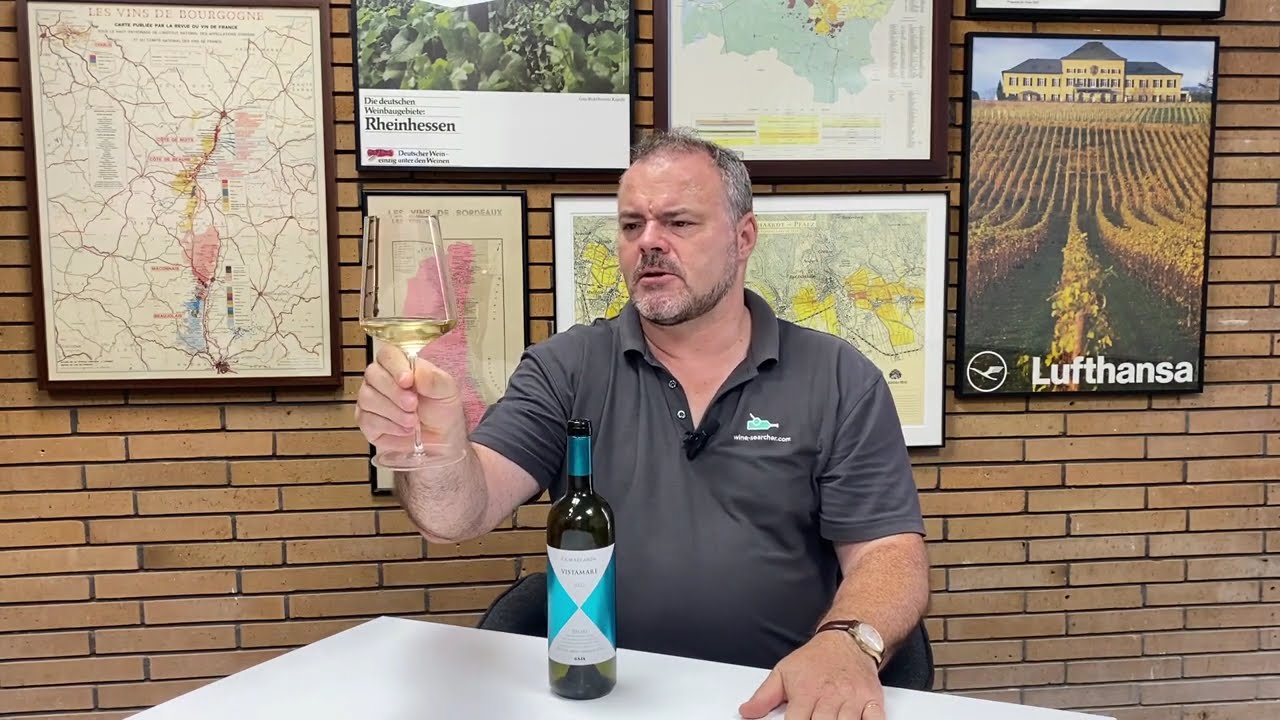 Wine Review: Gaja Ca'Marcanda Vistamare Toscana IGT 2022 - YouTube