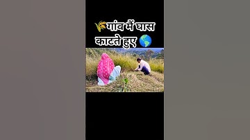 #pahadi #villagelife #grass #nature #theshuklasisters