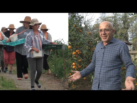 \"სოფლის მეურნეობა აფხაზეთში\" \u0026 \"სოფლის ცხობრება\"- ქართული და აფხაზური პარალელური ფილმები - სტუდია რე