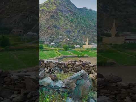 طبيعة بدون موسيقى