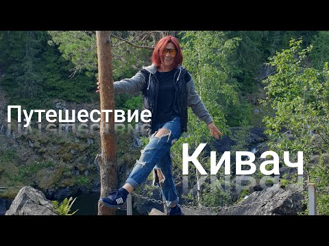 Заповедник Кивач. Всё самое интересное #путешествия