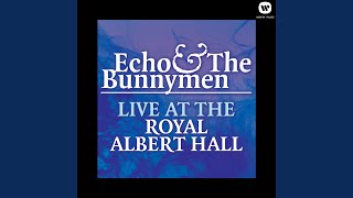 The Cutter (Live at Royal Albert Hall, 1984)