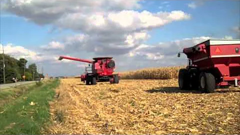 Research Plot Harvest, 2010