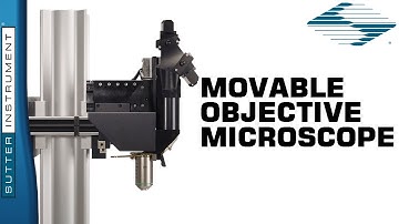 Open Platform Two-Photon Microscopy: The Sutter MOM - Scientists Empowering Scientists