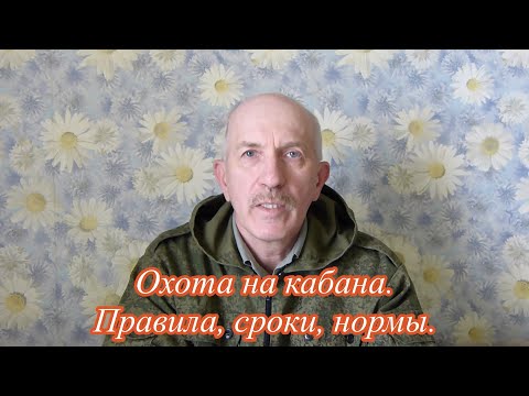 Охота на кабана, правила, сроки, способы