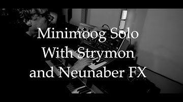 Minimoog Solo with Strymon and Neunaber FX