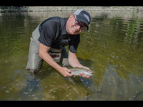 Vidéo: Pêche Dans Le Montana: Truite Fardée Sur La Rivière Lamar - Réseau Matador
