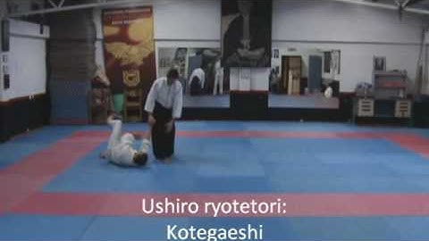 aikido: 4 KYU program part 2 of 2